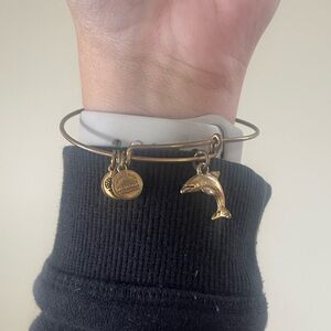 Alex and Ani Dolphin Bracelet